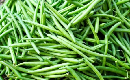 Шпарагівка в сметані