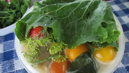 Квашені помідори з гірчицею