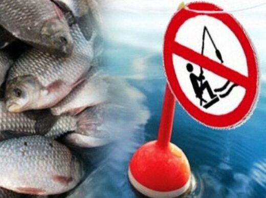 В Україні почала діяти заборона на вилов риби