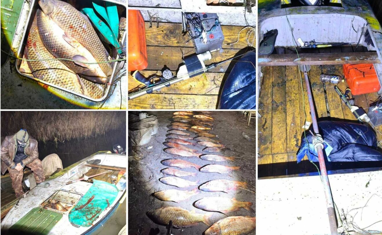 Ловили рибу гарпунами: браконьєри виловили 180 кг сазанів