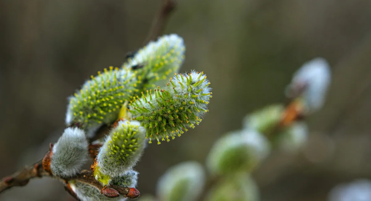 Погода на 30 березня