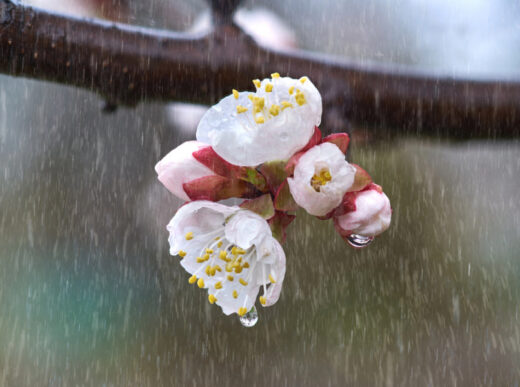 Прогноз погоди на початок квітня (1-5 число)