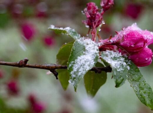 Погода на 21-26 квітня по областях
