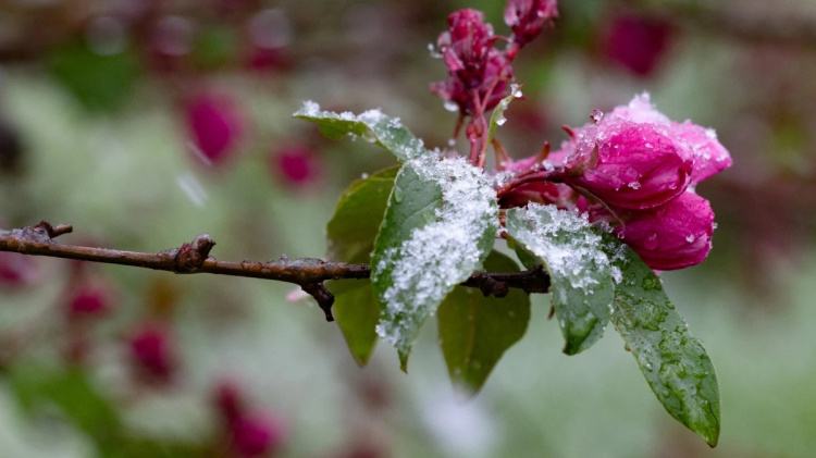 Погода на 21-26 квітня по областях