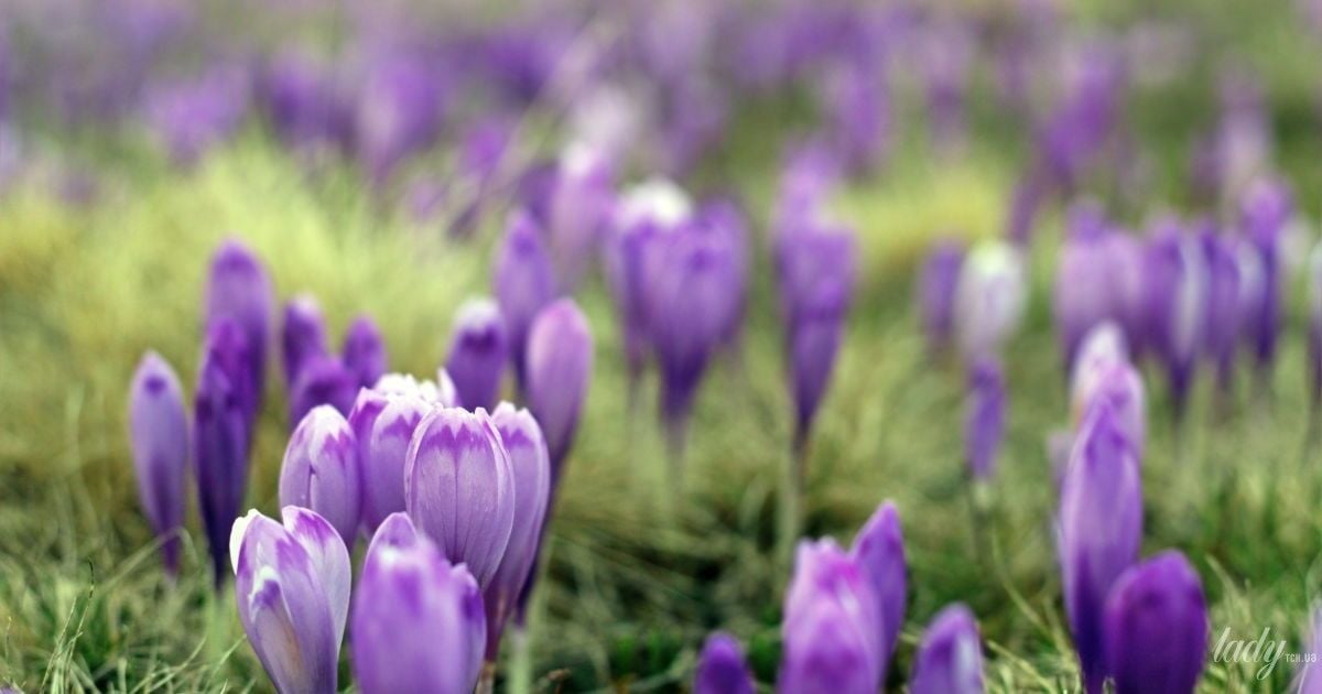 Квітень завершується холодом: прогноз погоди на 30 квітня