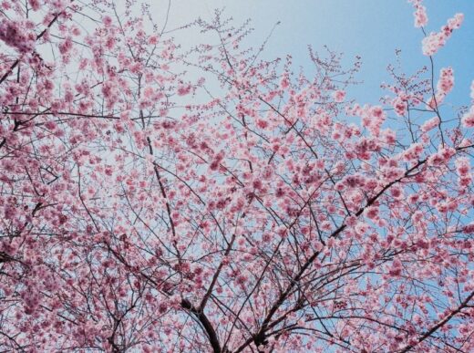 Погода в Україні на тиждень 13-19 квітня