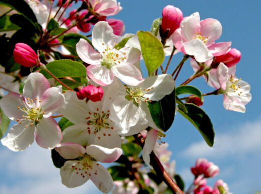 Прогноз погоди на 6-12 квітня