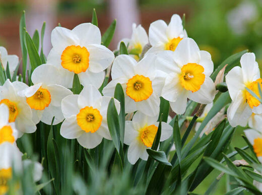 Прогноз погоди по областях на 10 квітня